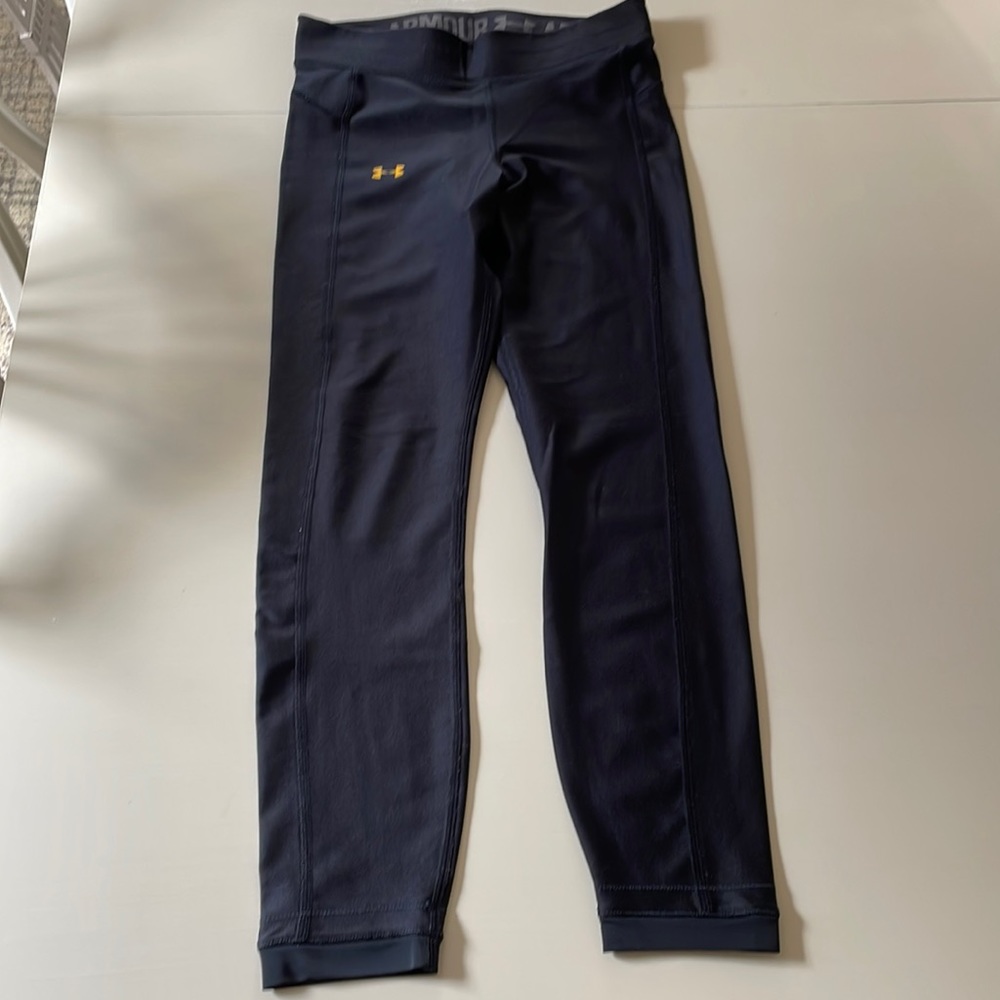UA - Project Rock Leggings